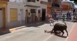 Hombre embestido bous al carrer Puçol